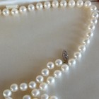 Vintage Akoya Pearl Necklace A 14k Gold Clasp   In A Red Velvetbox 