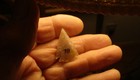 Flat Top Chalcedony  Colorado Pelican Lake Arrowhead