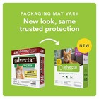 Plus Flea Prevention For Cats  Cat And Kitten Treatment   Control  Small And    