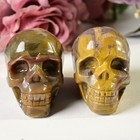 Random Hand-carved Natural Petrified Wood Stone Skull Quartz Healing Decor Gift
