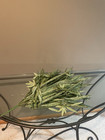 1 Pcs Artificial Plants Spider Hanging Chlorophytum Grass Vine  