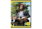 Anne Of Green Gables Dvd Complete Collection Box Set     All Episodes New   Sealed