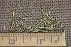 1 4    Solid Brass Brads 100 Nails 20 Gauge Escutcheon Pins Tiny Head Usa Made