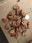 Cedar Elder Futhark Runes Handmade 25