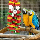 Large Bird Parrot Toys For Cockatoos African Grey Macaws And Amazon Parrots