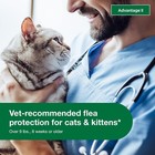 Advantage Ii For Large Cats  9 Lbs And Over  6 Doses