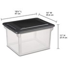 File Box  Clear Plastic Bin With Black Lid  Letter Or Legal-sized File Storage