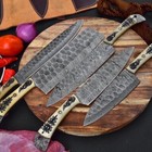 Handmade Damascus Steel Chef Knife Kitchen Knives Chef Set Engraved Camel Bone