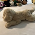 Fao Schwarz Golden Labrador Retriever Puppy Dog Plush Stuffed Animal Lab H