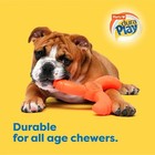 Hartz  Duraplay Bacon Scented Ball Dog Toy - Medium   Large  colors May Vary 