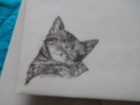 Sleeping Kitten Notepad 50 Sheets 8 5 X 5 5 New Black And White Drawing - 3 Pads