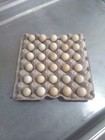 57  Fertile Chukar Partridge Hatching Eggs