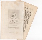 Jordaens Flemish Painter Portrait Baroque Artist Antique 1808 Copper Engraving