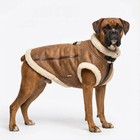 Retro Aviator Dog Jacket Faux Leather Sherpa Coat Xs-3xl Winter
