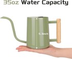 Cewor Sage Green 35 Oz Metal Watering Can With Long Spout For Indoor   Outdoor P
