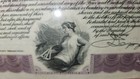 Int l Mercantile Marine Company Stock 1920s - Own A Piece Of Titanic History