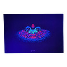 Marq Spusta Two Popping Through  black  Micro Print