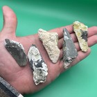 Megalodon Shark Tooth Lot Real Partial Meg Teeth Venice Florida Corral Covered