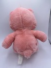 Vintage Care Bears 13  Cheer Bear Stuffed Plush Retired Pink Rainbow Hearts 2002