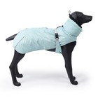 Dogs Winter Jacket Pet Waterproof Clothes Warm Coat Puppy Vest Blue - S