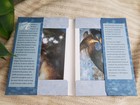 Day And Night Paintings By Edward Robert Hughes Notecards 10 Cards   Envelopes