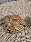 Vintage Handmade Sailors Valentine Lot Of 2 Small Shell Trinket Boxes