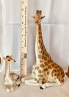 Lomonosov Porcelain 12    Ussr Russia Large Giraffe W 5    Calf Sculpture Set Mint