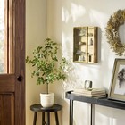 Large Metal Display Box Brass Finish - Hearth   Hand With Magnolia