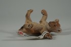 Retired Schleich Wild Life Africa Lion Cub Lying 14376 New With Tag