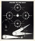 C 1850 Smith Astronomy Print Phases Of The Moon New Full Orbit Apogee Perigee
