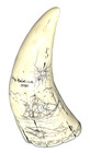 Vintage Faux Scrimshaw Resin Whale Tooth Ship Beatrice 1797 Luck To Women