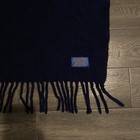 Vintage Pendleton Illinois Fighting Illini Chief Illiniwek Stadium Blanket Wool