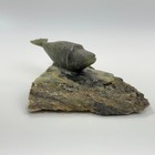 Small Carved Stone Whale Figurine On Rock Jasper  Soapstone  Signed M a n  Read