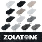 Z-tone Hamlet Black  Zolatone Multi-tone Splatter Finish Coating Paint - Gallon