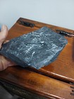 Slate Rock W  Fossil Imprints 6 5 x5x3 4  