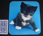 Mouse Pad Kitten  wouldn t You Rather Hold Me Than Your Mouse   Non-slip Large