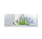 Ukraine Stamp From Ukrposhta - Sheet Lavandula On Self-adhesive Paper With Aroma