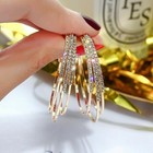 Hook Ear Jewelry Dangle Women Earrings Lady Crystal Hoops Elegant Gifts Stud