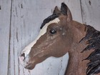 Vintage Handmade Resin Arabian Stallion Horse Head Wall Plaque Hanging - 1991