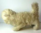 Vintage Applause Avanti Baby Animals Kitten Cream With Blue Eyes 12    Long