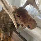 Melissa   Doug Giant Moose Lifelike Wired Plush Stuffed Animal Jumbo So Soft