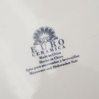 Euro Ceramica Zanzibar Dinner Plate  Salad Plate  Soup cereal Bowl  Mug  pick 