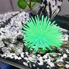 Flat Glass Marbles 1lb Mixed Color For Vase Fillers Mixed Colour Stone For 