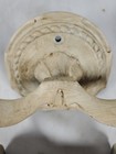 Vintage Amerock Carriage House Antique Style Toilet Paper Holder