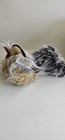 Animal Alley Yorkshire Terrier Yorkie Plush Long Hair 12    Toys    r    Us   nwt 