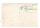 On The Golf Course Palm Beach Florida Postcard