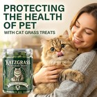 Cat Grass Pellets For Indoor Cats Wheatgrass Hairball Support Digestive Health