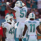 Mike Pouncey Game Worn      Miami Dolphins     on Field Nfl Jersey      Inc psa Coa       