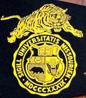 Vintage 1960s University Of Missouri Tigers Football Pennant  Wow 