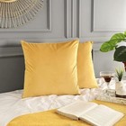   Pack Of 2 Throw Pillow Covers 16x16 Inch Velvet 16  X 16   pack Of 2  Yellow